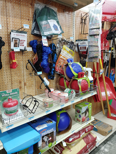 Home Improvement Store «Tractor Supply Co.», reviews and photos, 3184 US-11, Malone, NY 12953, USA