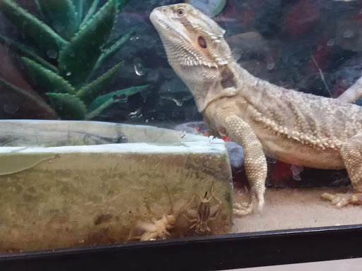 Pet Supply Store «Petco Animal Supplies», reviews and photos, 168 Ames Dr, Barre, VT 05641, USA