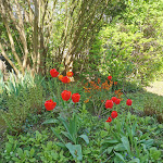 Photo n° 8 de l'avis de Cristiano.a fait le 20/04/2022 à 07:47 pour Le Clos des Princes à Châtenay-Malabry