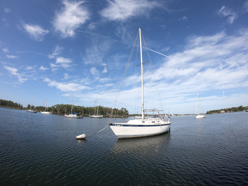 Tourist Attraction «Fun 2 Dive - Swim with Manatees», reviews and photos, 135 NE 3rd St, Crystal River, FL 34429, USA