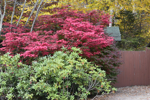 Pet Store «Abrams and Weakley General Store for Animals», reviews and photos, 3963 N 6th St, Harrisburg, PA 17110, USA