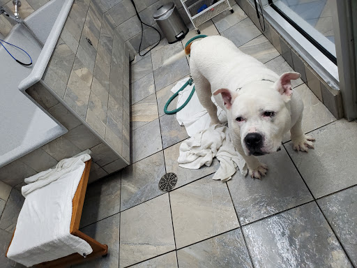 Pet Supply Store «Rumford Pet Center», reviews and photos, 865 Warren Ave, East Providence, RI 02914, USA