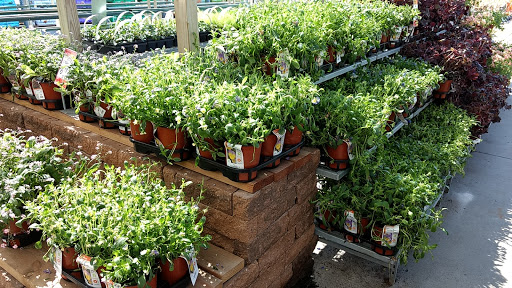 Home Improvement Store «The Home Depot», reviews and photos, 3550 124th Ave NW, Coon Rapids, MN 55433, USA