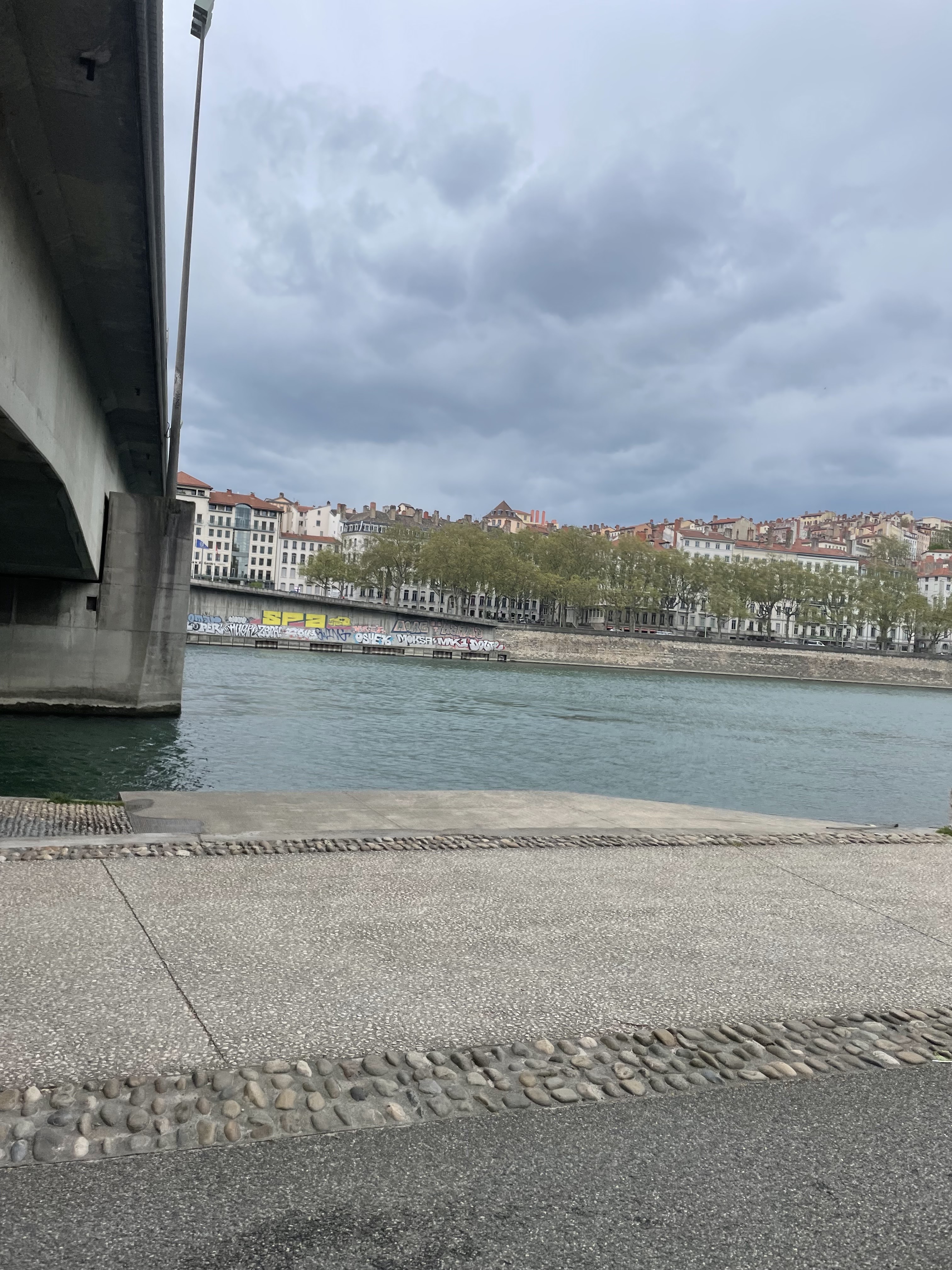 Photo n° 1 de l'avis de Rowan.e fait le 23/04/2023 à 14:23