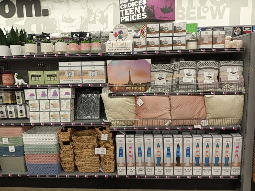 Variety Store «Five Below», reviews and photos, 7055 Hwy 6 N, Houston, TX 77095, USA