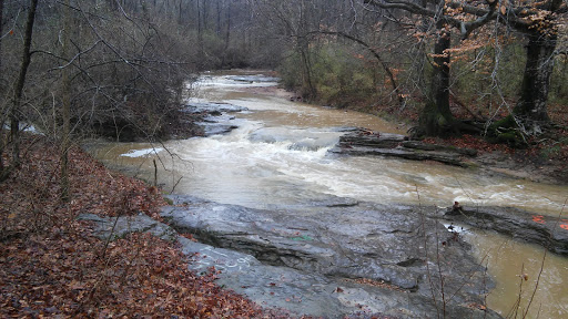 Foodtown, 26650 IL-3, Olive Branch, IL 62969, USA, 