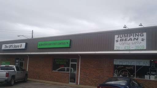 Jumping bean, 245 Wayne Rd C, Savannah, TN 38372, USA, 