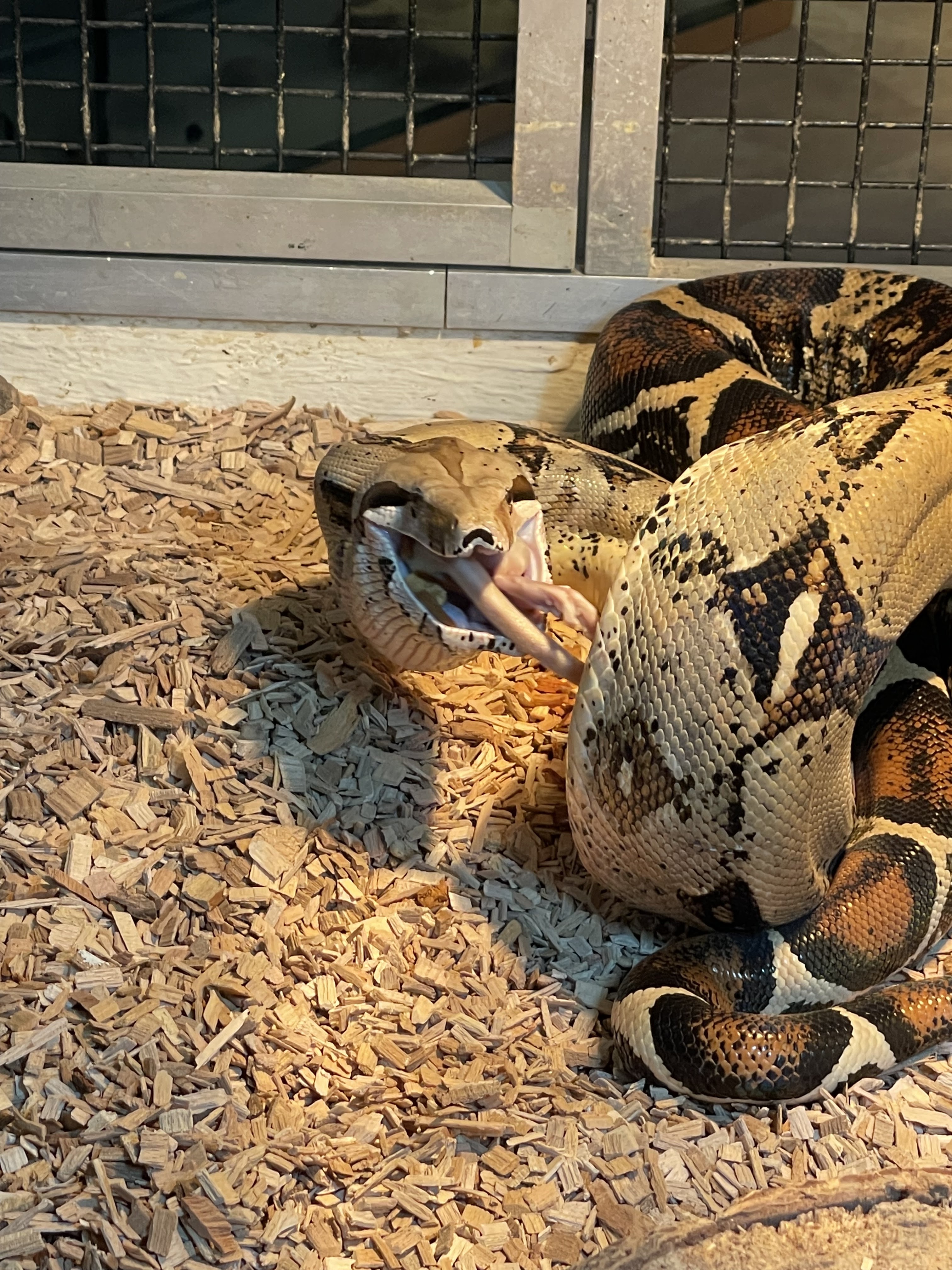 Photo n° 2 de l'avis de joel.u fait le 22/09/2021 à 14:33