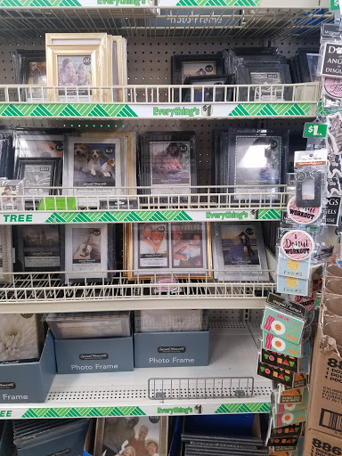Dollar Store «Dollar Tree», reviews and photos, 8653 Columbus Pike, Lewis Center, OH 43035, USA