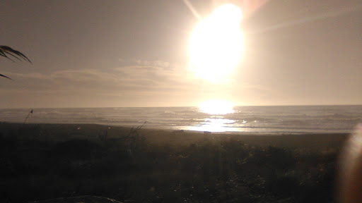 Event Venue «Curry County Fairgrounds», reviews and photos, 29392 Ellensburg Ave, Gold Beach, OR 97444, USA