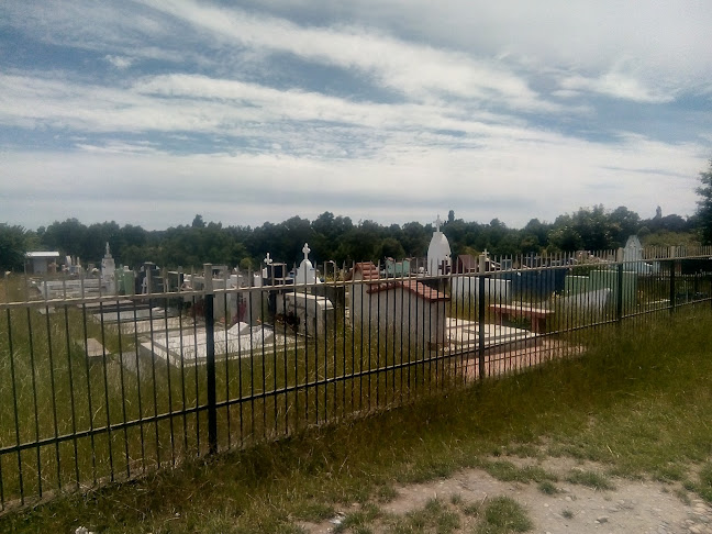 Cementerio Molonhue - Teodoro Schmidt