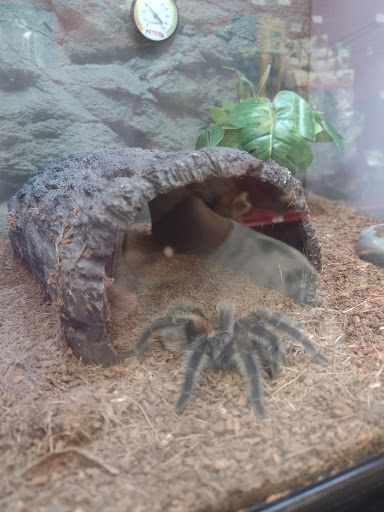 Pet Supply Store «Petco Animal Supplies», reviews and photos, 4175 Dowlen Rd, Beaumont, TX 77706, USA