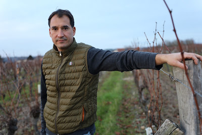 Arnaud houx à Restigné
