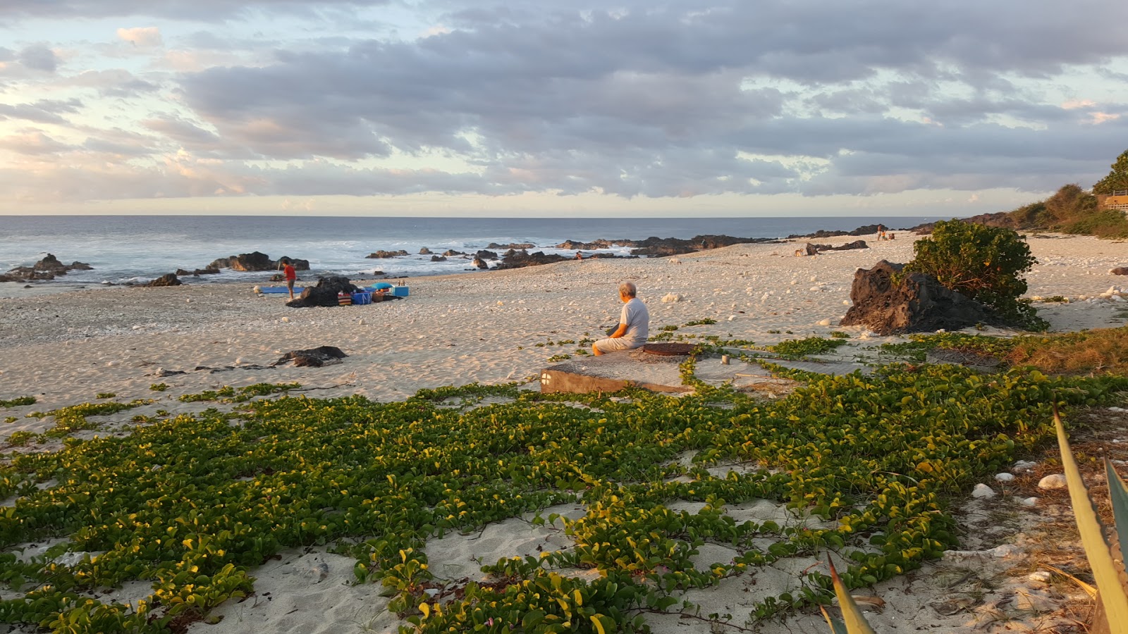 Photo de Pointe des Aigrettes beach zone sauvage