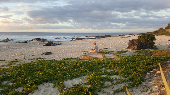 Pointe des Aigrettes beach