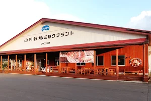 Yamakawa Bokujyo Milk Plant image
