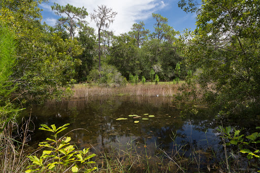 Park «Stephen J. Wortham Park», reviews and photos, 12108 Rhodine Rd, Riverview, FL 33579, USA