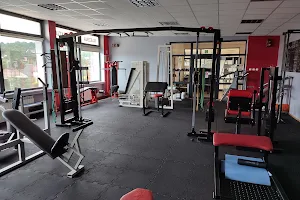 The Gym - Siłownia & Klub Fitness image