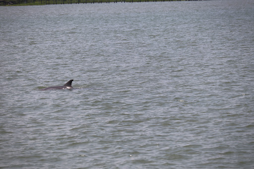 Boat Rental Service «Schooner Freedom Charters», reviews and photos, 111 Avenida Menendez, St Augustine, FL 32084, USA