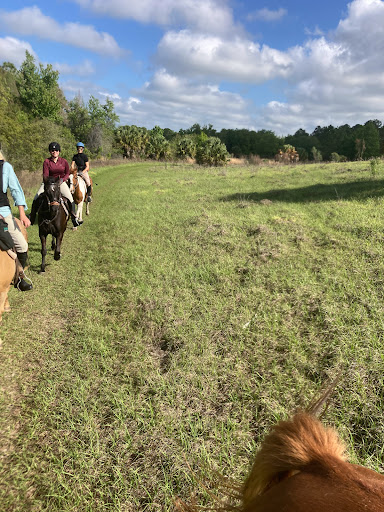 Park «Alafia River State Park», reviews and photos, 14326 S County Rd 39, Lithia, FL 33547, USA