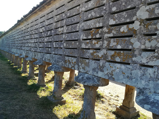 Tanatorio de Carnota en Pedramarrada no parece ser una localidad reconocida en España. Podría ser un error de transcripción o una localidad muy pequeña que no está bien documentada. Por lo tanto, no puedo proporcionar una provincia correspondiente.