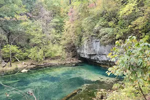 Ha Ha Tonka State Park image