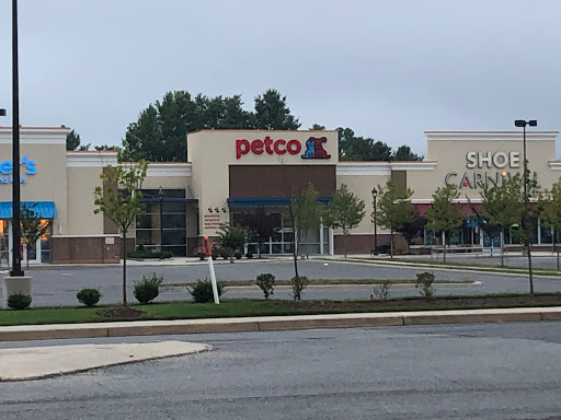 Petco Animal Supplies, 1574 N Dupont Hwy #300, Dover, DE 19901, USA, 