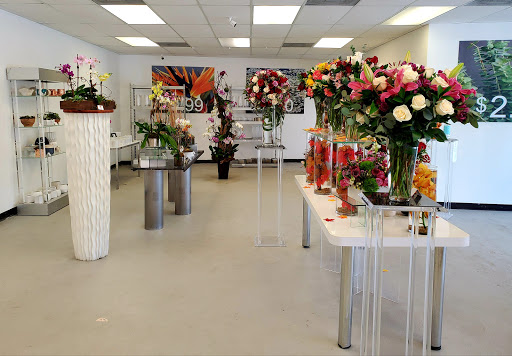 Florist «Flowers and Services», reviews and photos, 13750 Biscayne Blvd, North Miami Beach, FL 33181, USA