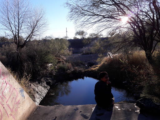 Public Golf Course «El Rio Golf Course», reviews and photos, 1400 W Speedway Blvd, Tucson, AZ 85745, USA