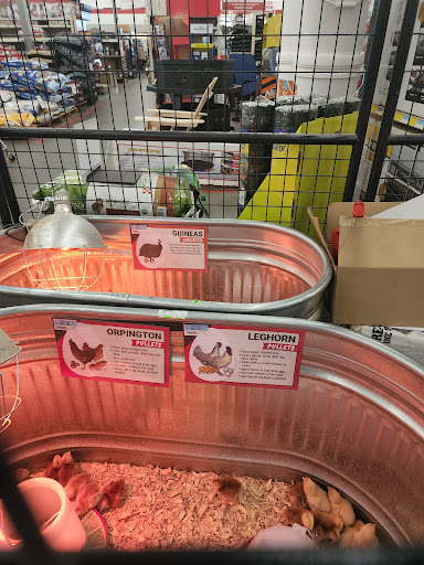 Home Improvement Store «Tractor Supply Co.», reviews and photos, 860 Jack Tone Rd, Ripon, CA 95366, USA