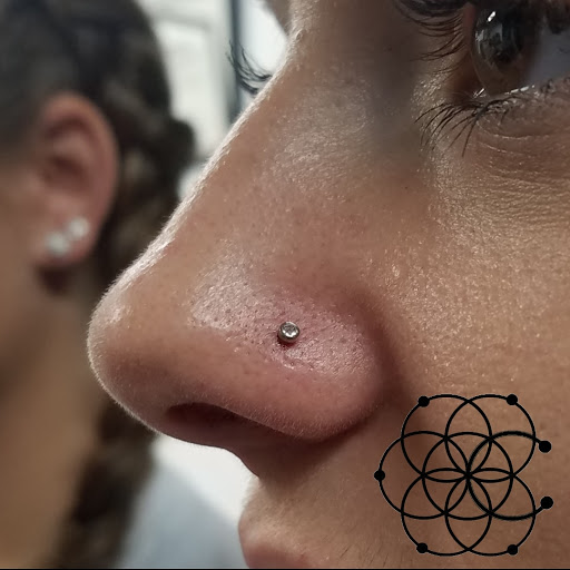 Explore big dipper tattoo ideas, creative tattoo ideas in Sarasota, available at Z-Edge Tattoo & Body Piercing South Shop