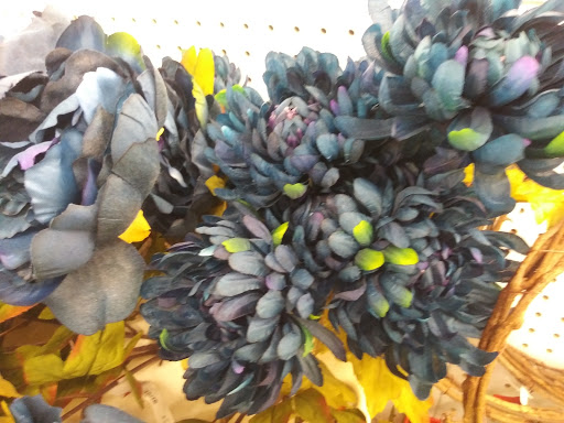 Fabric Store «Jo-Ann Fabrics and Crafts», reviews and photos, 18850 Mack Ave, Grosse Pointe, MI 48236, USA