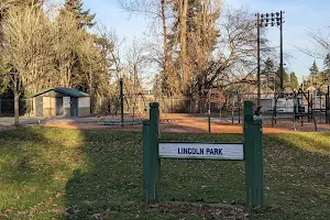 Lincoln Park image