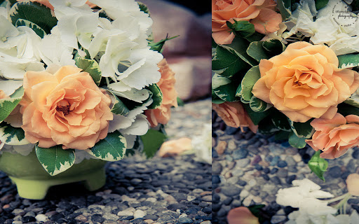 Florist «Thistle Floral & Home», reviews and photos, 25960 Central Ave NE, Kingston, WA 98346, USA