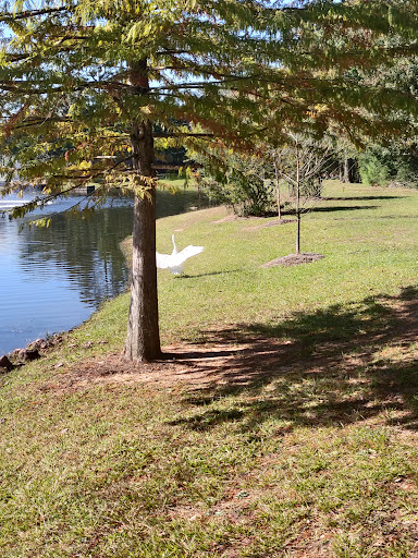 Park «Terramont Park», reviews and photos, 8500 Terramont Dr, The Woodlands, TX 77382, USA