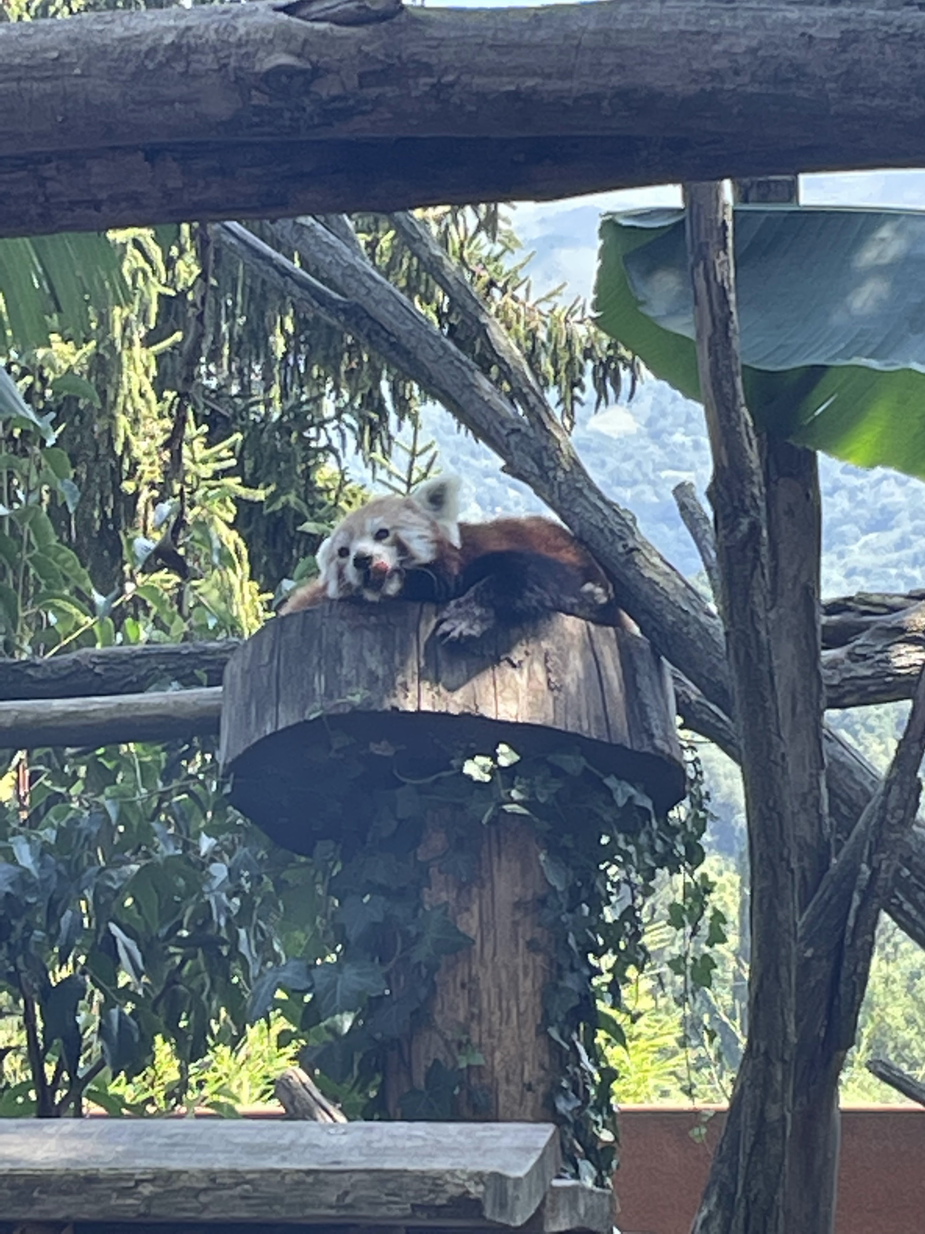 Photo n° 25 de l'avis de Gregory.G fait le 01/08/2022 à 10:31