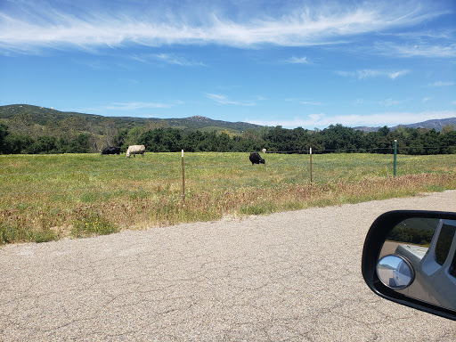 General Contractor «Atlas General Construction», reviews and photos, 1666 Garnet Ave #406, San Diego, CA 92109, USA