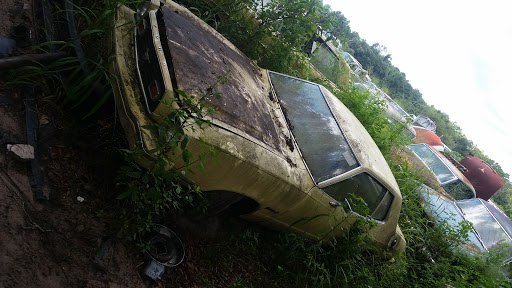 Auto Parts Store «International Auto Parts», reviews and photos, 12905 US-41, Spring Hill, FL 34610, USA