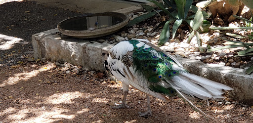 Florist «A Matter of Taste Florists», reviews and photos, 4230 Williams Dr B, Georgetown, TX 78628, USA