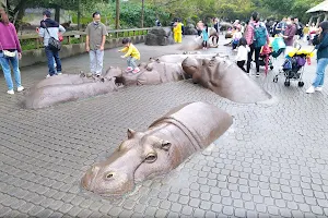 Hippopotamus Rest Area image