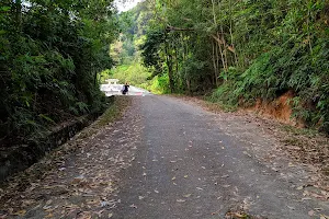 Bukit Kepayang Hiking Trail image