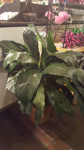 Florist «Thrifty Florist Ann Arbor», reviews and photos, 3021 Carpenter Rd, Ypsilanti, MI 48197, USA