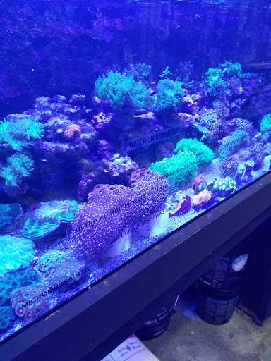 Tropical Fish Store «Aquatic Obsessions», reviews and photos, 1150 St George Ave, Avenel, NJ 07001, USA