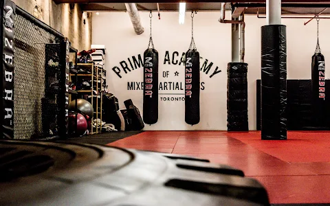 Primal MMA Academy image