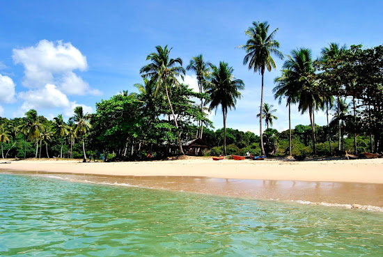 Coconut Palm Beach