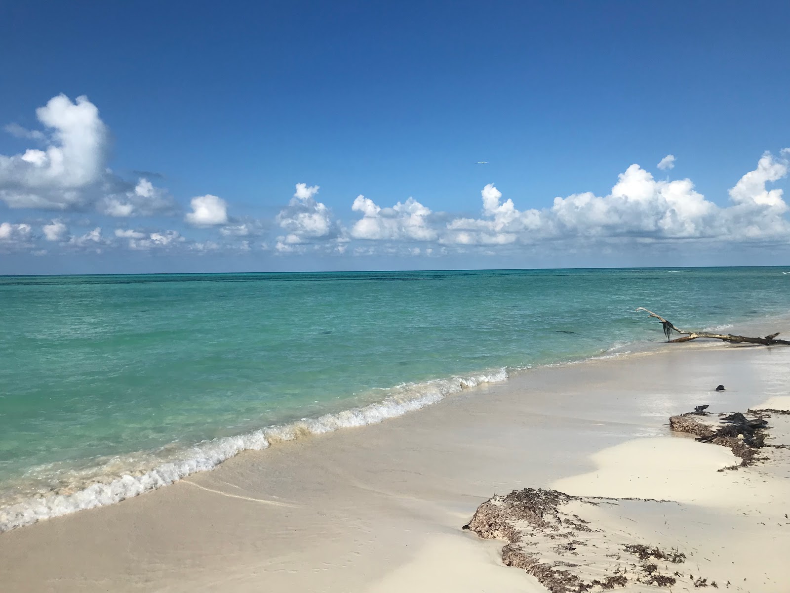 Blue Lagoon beach II的照片 带有明亮的细沙表面