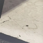 Photo n° 1 de l'avis de Loic. fait le 19/01/2024 à 17:33 pour E.Leclerc Beziers à Béziers