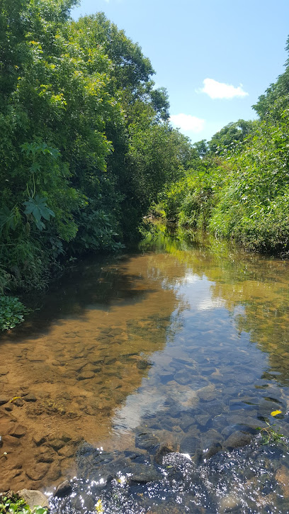 Cara-Cara Ponta Grossa