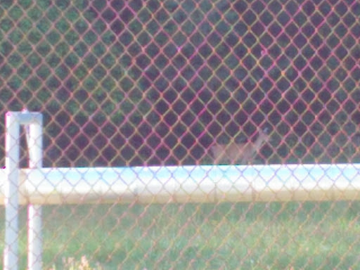 Golf Course «Spencer T Olin Golf Course», reviews and photos, 4701 College Ave, Alton, IL 62002, USA