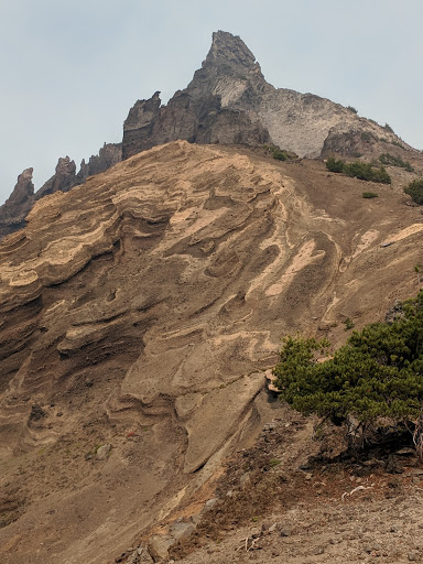 National Forest «Umpqua National Forest», reviews and photos, 1121 Houser Ct, Idleyld Park, OR 97447, USA